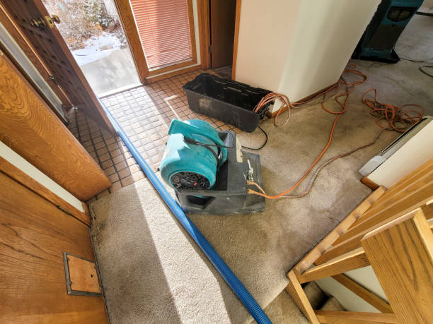  Grand Prairie, TX Water damage restoration Pros