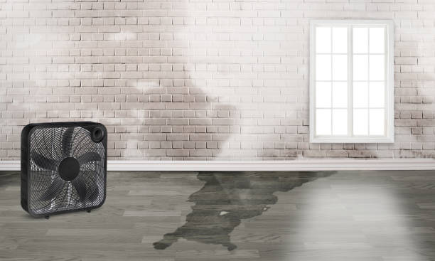 Best Basement water damage restoration  in Grand Prairie, TX