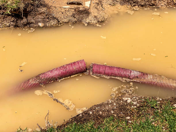 Best Water damage cleanup near me  in Grand Prairie, TX