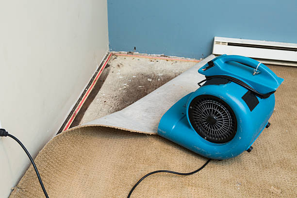 Best Water damage restoration services  in Grand Prairie, TX